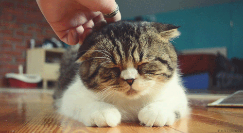 gif-maker
